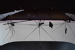 WATERCRESS HALLOWEEN